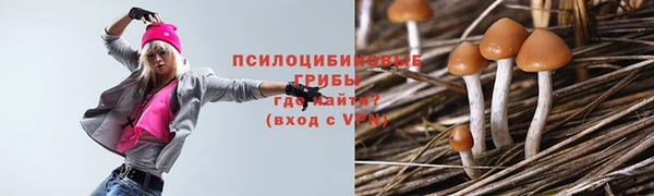 ECSTASY Горнозаводск