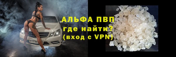 винт Вяземский