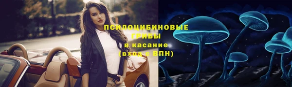 винт Вяземский