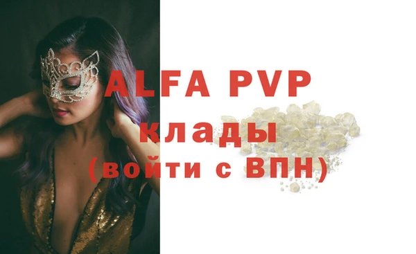 винт Вяземский