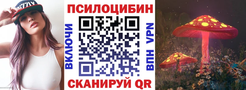 Галлюциногенные грибы MAGIC MUSHROOMS  продажа наркотиков  сайты даркнета наркотические препараты  Тбилисская 