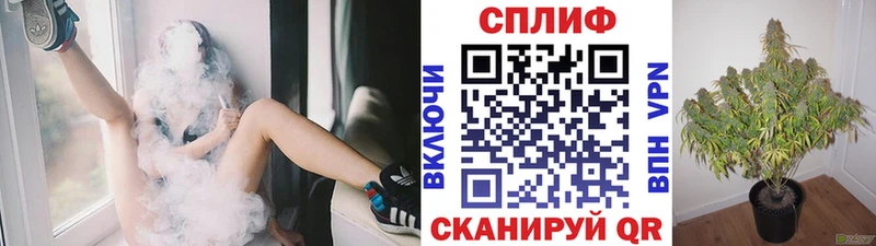 Бошки Шишки VHQ Тбилисская